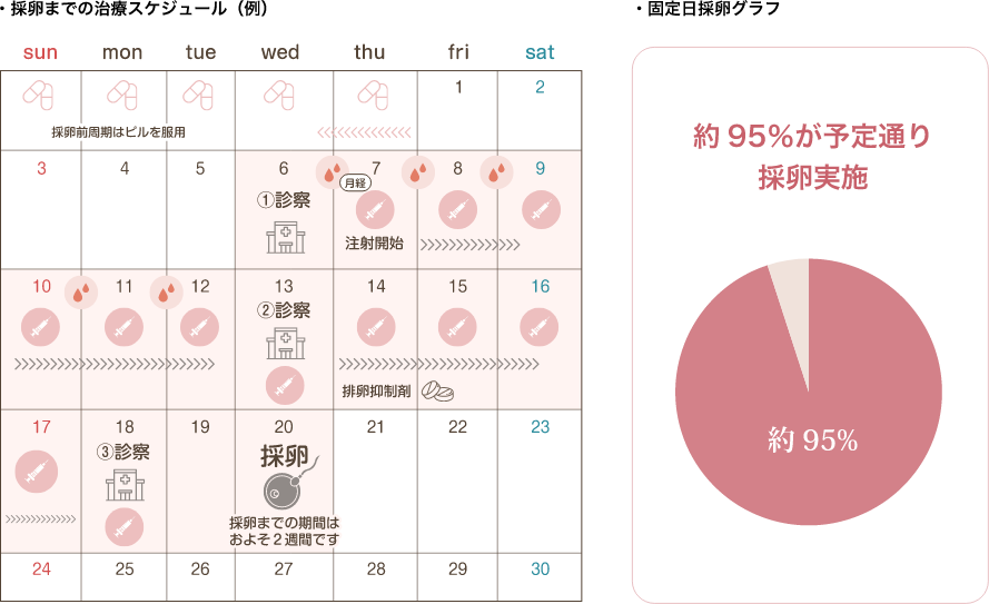 固定⽇採卵で通院負担が少ない